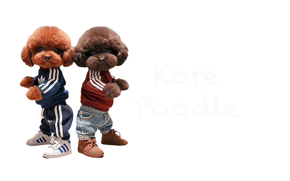 Kore Poodle